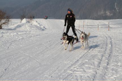 auf ihrer Ski-Jringtour.